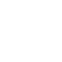 University of Novi Sad